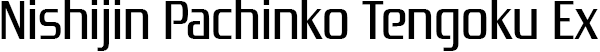 Nishijin Pachinko Tengoku EX logo for Playstation